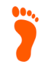 Arch Support